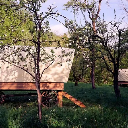 Luxury tent Glamping Tlaka *