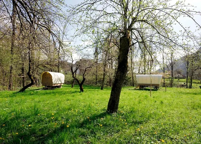 Glamping Tlaka 럭셔리텐트 *